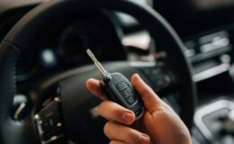 2025 Otomobil Satış Liderleri Renault Megane Zirvede, Tesla ve Egea Takipte