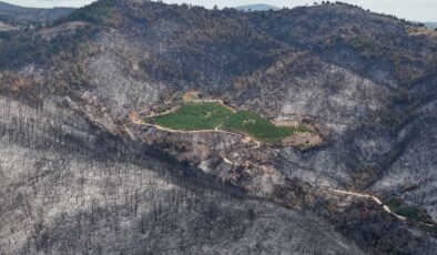 Satılan her bir araç için 10 fidan kampanyası