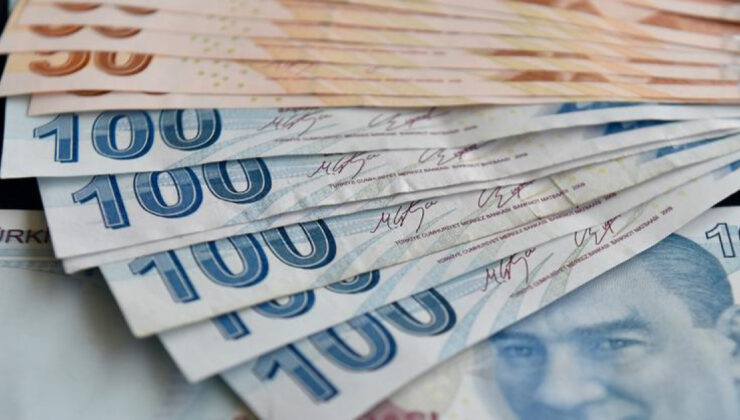 Engelli ve eski hükümlü hibe destekleri artırıldı